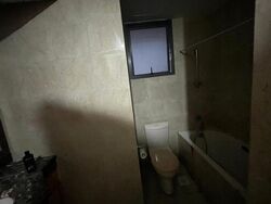 Carissa Park Condominium (D17), Condominium #518705341